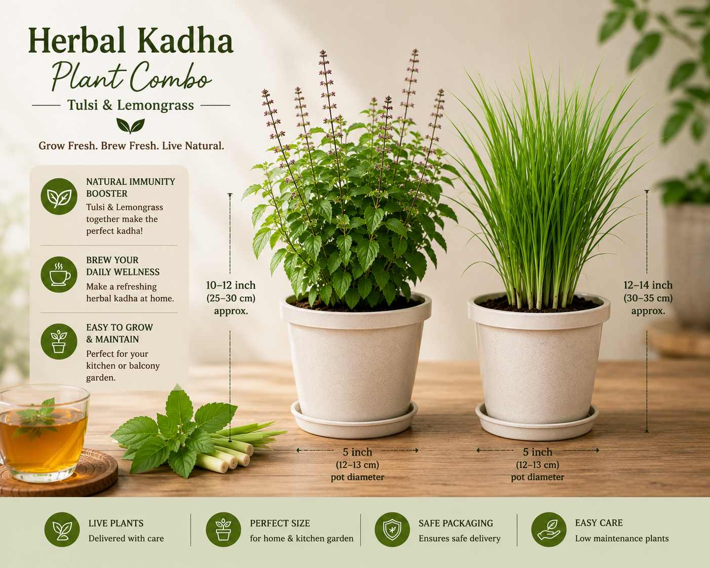 Herbal Kadha Plant Combo – Tulsi & Lemongrass Live Plants (Pack of 2)